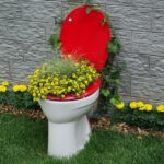 czerwono-biały sedes z wyrastającymi ze środka żółtymi kwiatami