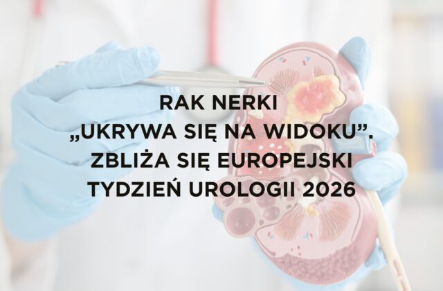Model nerki przedstawiający guz nowotworowy, trzymany przez osobę w rękawiczkach medycznych